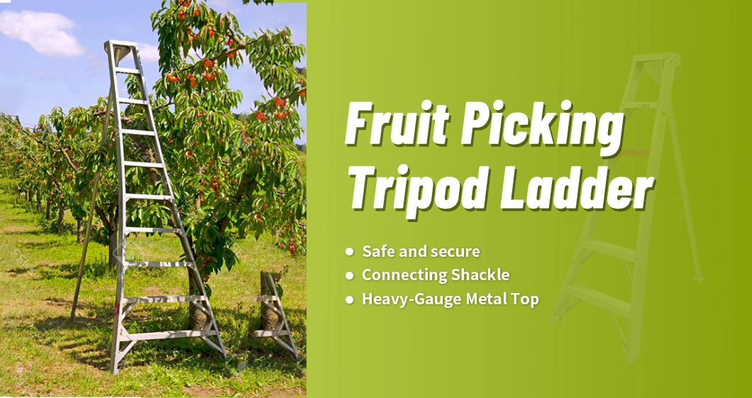 Heavy Duty Adjustable Leg 1A Type Orchard Aluminum Tripod Ladder for Fruit Picking